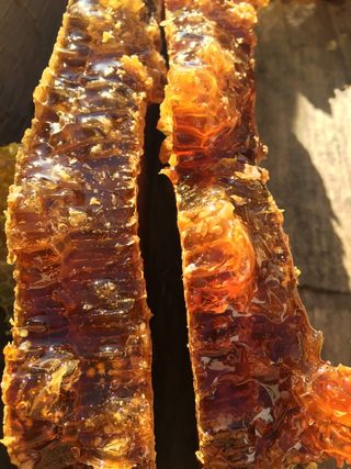 土蜜，原生态，天然，特写，餐饮，无人，美食，聚焦前景