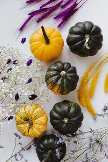 白色背景上的黄色和深绿色小南瓜