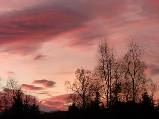 日出，一月，浪漫，天空，红色，云，日落，树