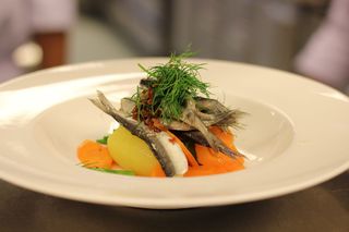 波罗的海鲱鱼、食品、食品和饮料、健康饮食、盘子、新鲜度、即食、健康