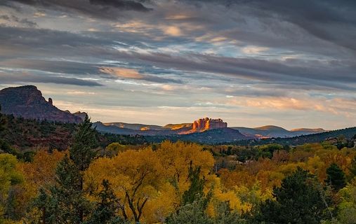 雨云下树木的景观摄影