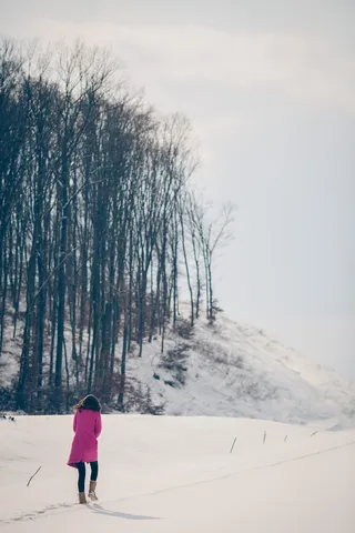 白天，穿着粉色风衣的女人在光秃秃的树木附近的白雪覆盖的小路上行走