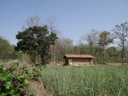 农场,小屋,公路,公路,森林,柚木,农场小屋,甘蔗 农场,小屋,公路,公路,森林,柚木,农场小屋,甘蔗