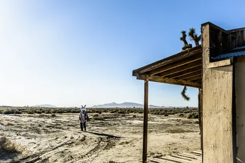 人，人，门廊，户外，庭院，棕榈谷，美国，地面