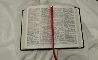 美国，纽约，出版物，书籍，室内，文本，页面，打开