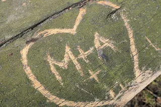 心，爱，符号，爱的符号，Liebebeweis，连接，永恒，浪漫