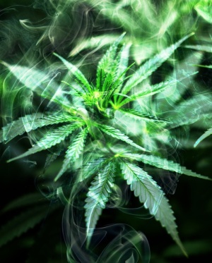 雾、大麻、树叶、烟雾、大麻、杂草、大麻、医疗