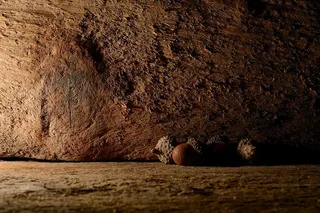 橡子、自然、木材、降临节、装饰、圣诞节、背景、动物