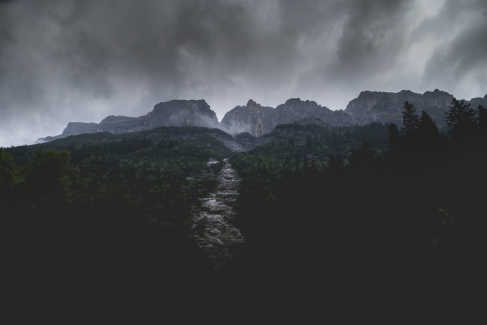 黎明，黄昏，雾，树叶，森林，灰色的云，风景，光