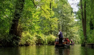 spreewald，吕伯瑙，德国，水，spree，深度，森林，海峡