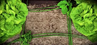 绿色、叶状植物、棕色、木质、表面、复印空间、文本框、沙拉