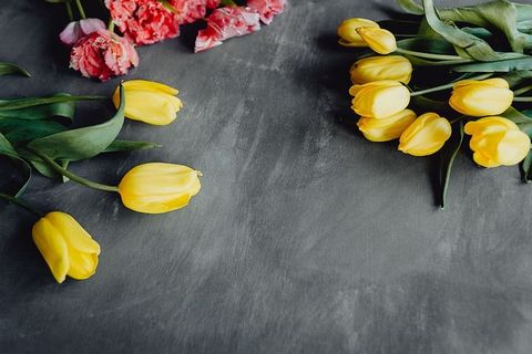 灰色背景上的彩色花朵，带有复制空间