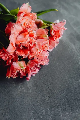 灰色背景上的彩色花朵，带有复制空间