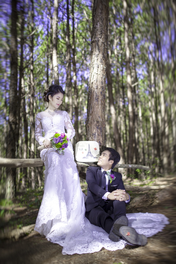 婚礼，婚纱照，图片，越南，美丽，天然，新鲜，百合