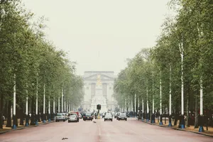 英国伦敦，道路，左侧交通，街景，出租车，大道，雾