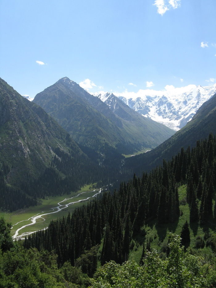 吉尔吉斯斯坦，山脉，自然，景观，山脉，雪，森林，天空