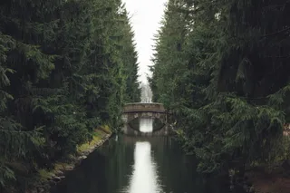 绿叶树间混凝土桥下的河流