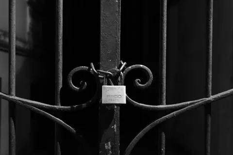 卡住，黑色，白色，夜间，汽车，abestrato，快速，欧洲