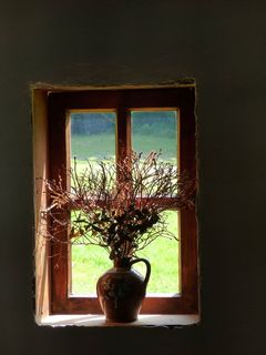 棕色、陶瓷、瓶子、植物、内部、放置、关闭、窗户 棕色、陶瓷、瓶子、植物、内部、放置、关闭、窗户