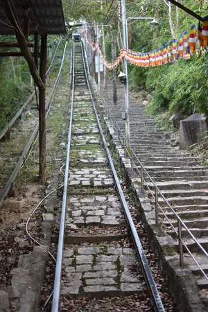 绞车，楼梯，未触及，岩石，山林，台阶，树木，树木