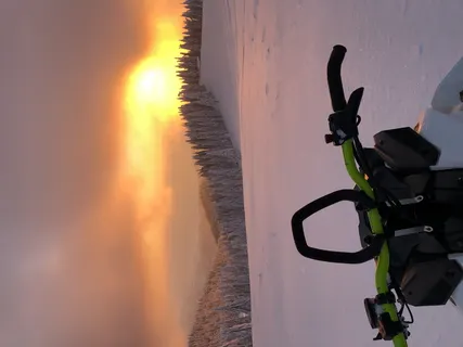 户外、自然、交通、车辆、植物、树木、冷杉、冷杉