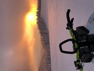 户外、自然、交通、车辆、植物、树木、冷杉、冷杉