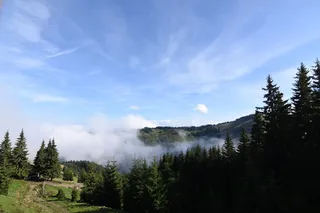 纯净，自然，罗马尼亚，树木，风景-自然，云-天空，天空，自然之美