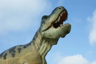 恐龙，恐龙，模型，游乐园，模型，假日，科学，挖掘