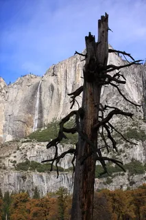 约塞米蒂,国家公园,森林,风景,自然,风景,美国,森林 约塞米蒂,国家公园,森林,风景,自然,风景,美国,森林