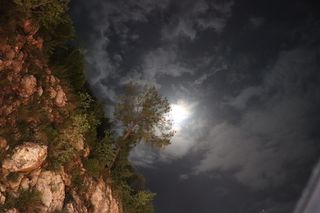 规划师、投资组合、追梦人、9月11日、云天、天空、大自然之美、树木