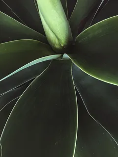 德国，汉诺威，工厂，iphone，iphone摄影，绿色，flatlay，汉诺威