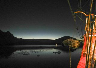 南极洲，背景，航行，午夜，理货，船，安塔提卡，水