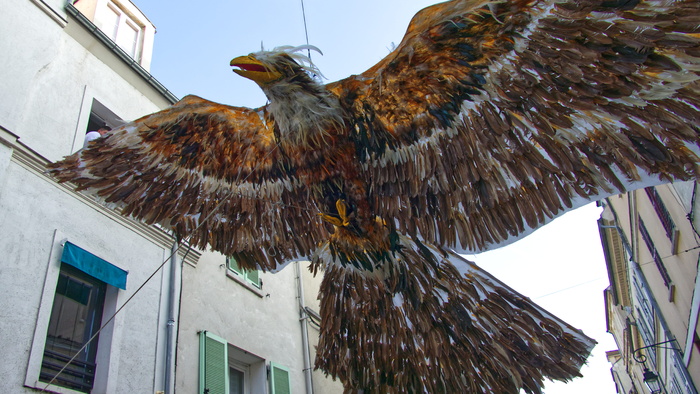 动物, 鸟, 秃鹰, 鹰, 秃鹫, 6 rue du chemin de fer, 法国