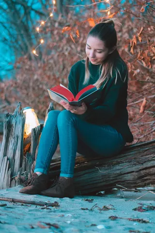 美国，东普罗维登斯，河边，灯光，心情，海滩，木材，树木