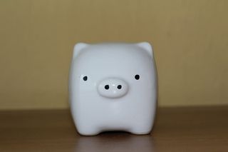 白色，陶瓷，猪雕像，棕色，木制，表面，小猪，小猪存钱罐