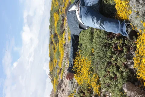 户外、花园、人、人、园丁、工人、园艺、鞋