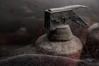 棕色手榴弹、水晶、海龟、爬行动物、海洋生物、动物、铁锈、蜘蛛