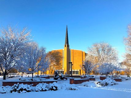 冬天，雪，树，霜，冷，季节，冰冻，户外