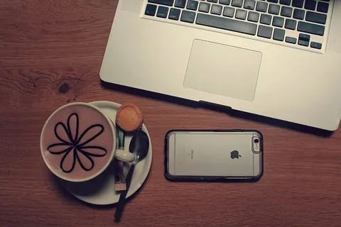 荷兰，哈勒姆咖啡馆，咖啡馆，哈勒姆咖啡馆，电话，咖啡馆，时髦咖啡馆