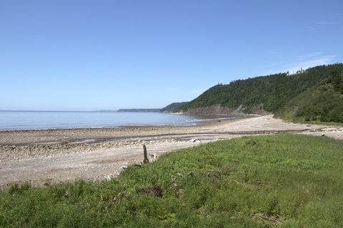 芬迪、海洋、海洋、加拿大、海水、潮汐、大西洋、海岸线