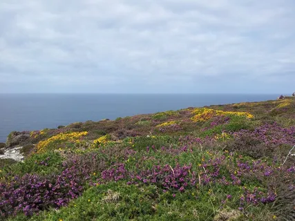 兰德·布雷顿、布列塔尼、海、地平线、菲尼斯特、侧面、自然之美、风景画-自然