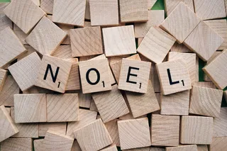 棕色块拼图板 Noel 文本