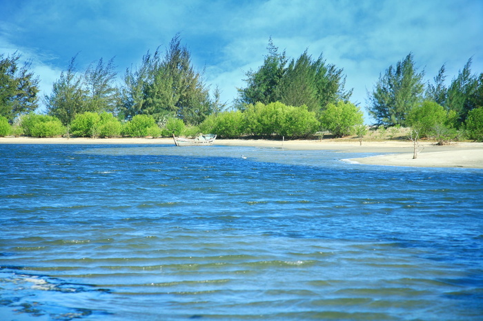 风景如画的越南，越南最美丽的风景，自然美景，风景如画的室内杯，世界上最美丽的风景，树，水，植物