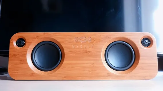 荷兰，阿姆斯特丹，爱情，歌曲，歌曲，贝斯，现场音乐，现场