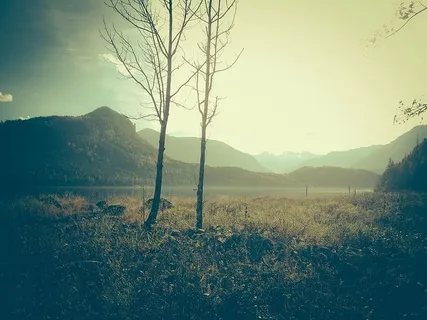 照片,裸体,T恤,山,照片,河流,绿色,草 照片,裸体,T恤,山,照片,河流,绿色,草