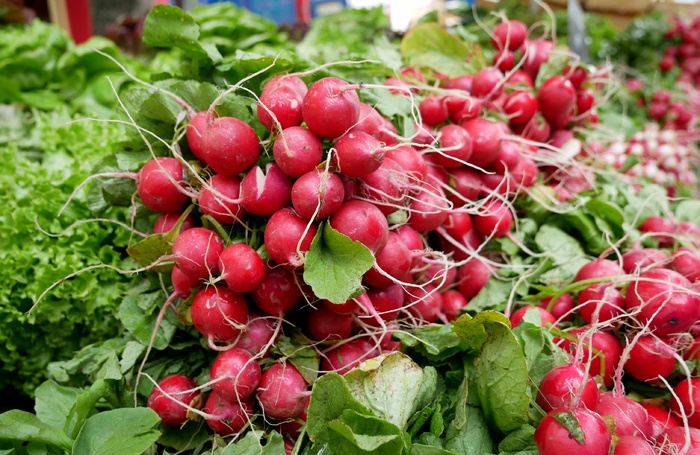 萝卜，蔬菜，萝卜，食品，红色，萝卜，食用，健康