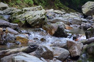 河流、水流、溪流、景观、自然、岩石、固体、水