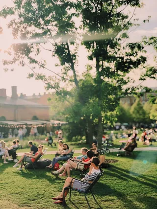 人、坐、公园、树、聚会、团体、宴会、庭院