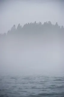 雾覆盖了岛屿、海洋、海水、海浪、大自然、树木、雾