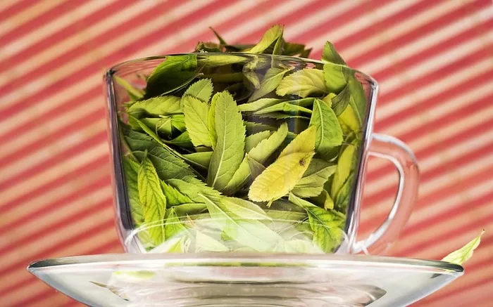 杯子，饮料，植物，花卉，新鲜，绿色，健康，叶子